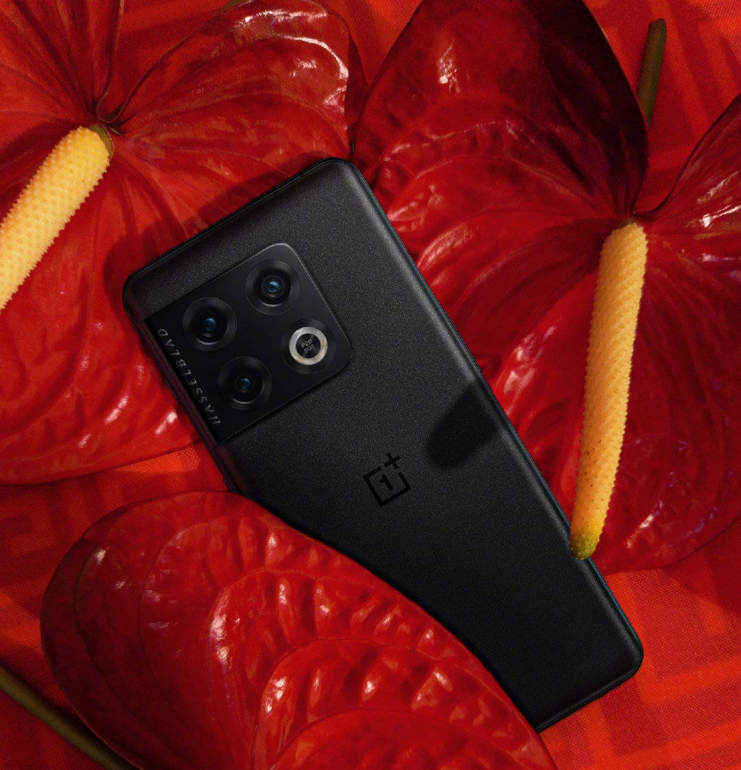 OnePlus 11 Pro rò rỉ: Càng lúc càng xa rời vị thế “Flagship Killer”