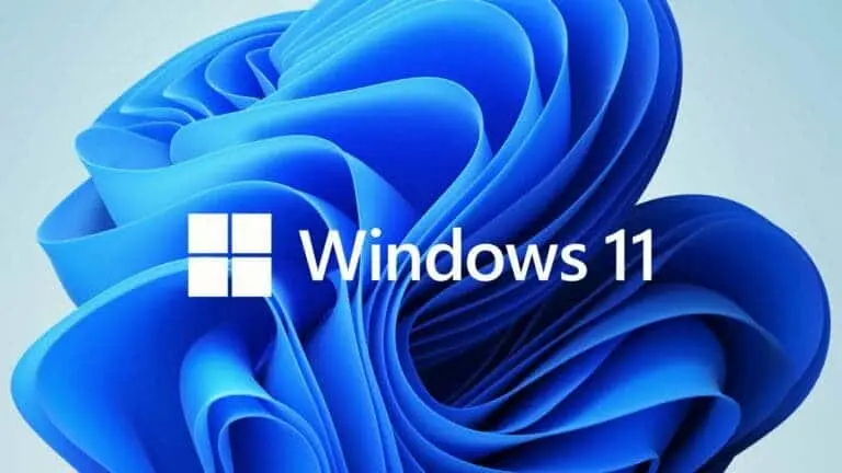 Windows 11