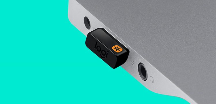 Cắm đầu USB và bật công tắc chuột