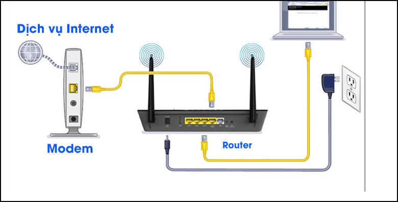 Setup dây mạng