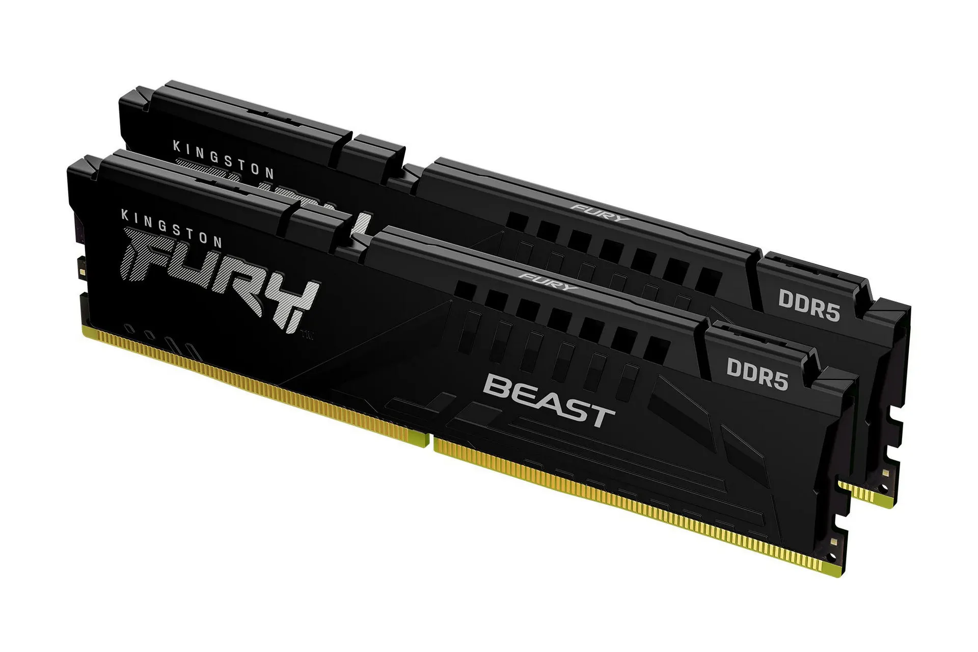 RAM Kingston Fury Beast