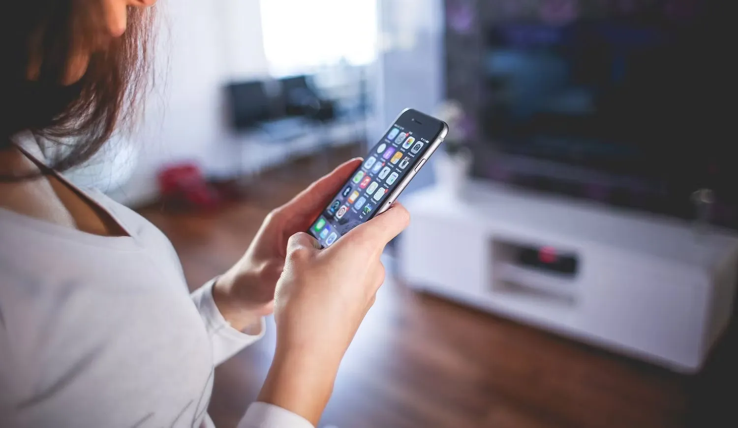 Các loại Smart Home Bridge